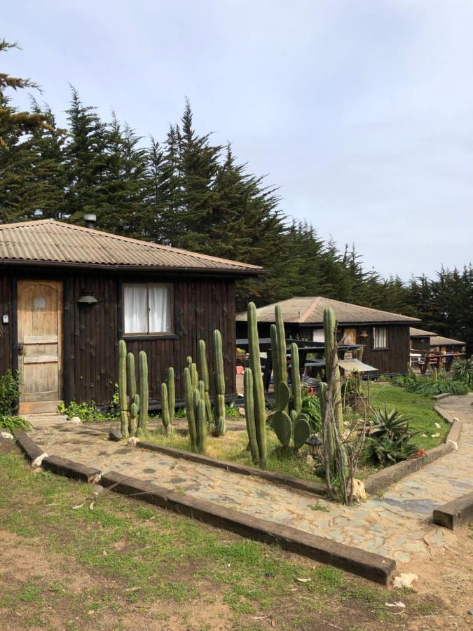 Temporada Baja! Family Surf & Relax Cabanas Punta De Lobos *