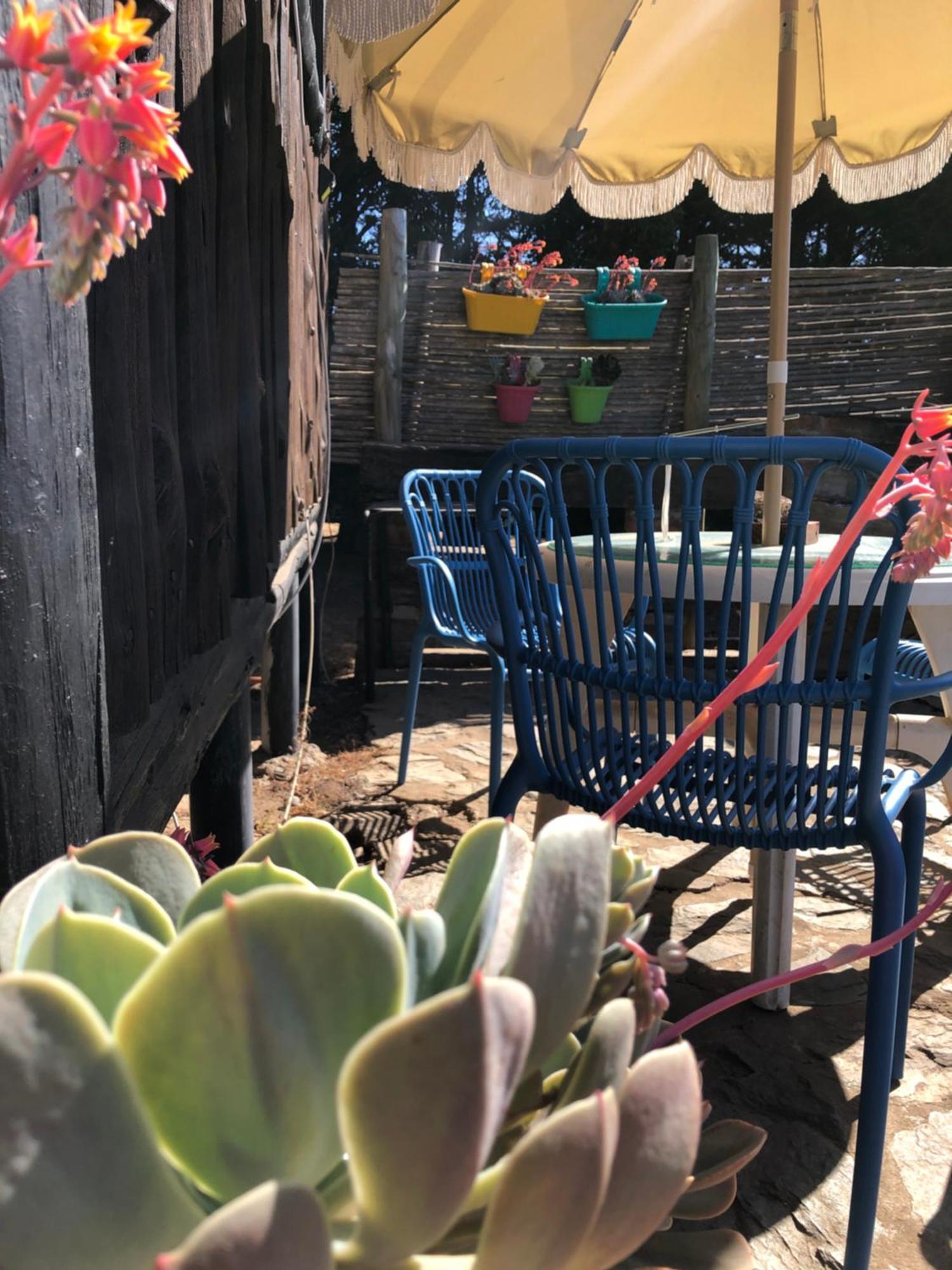 Temporada Baja! Family Surf & Relax Cabanas Punta De Lobos Casa de férias *
